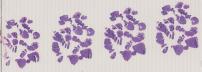 vignette Lame virtuelle : Estomac : Cas n°2 - tumeur maligne -  lymphome MALT gastrique 